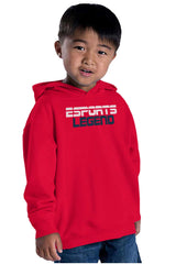 Sports Legend Professional Gamer Toddler Pullover Hoodie-Direct To Garment Print-Brisco Baby