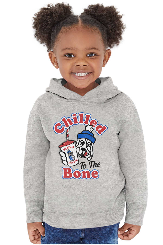 Chilled To The Bone Toddler Pullover Hoodie-Direct To Garment Print-Brisco Baby