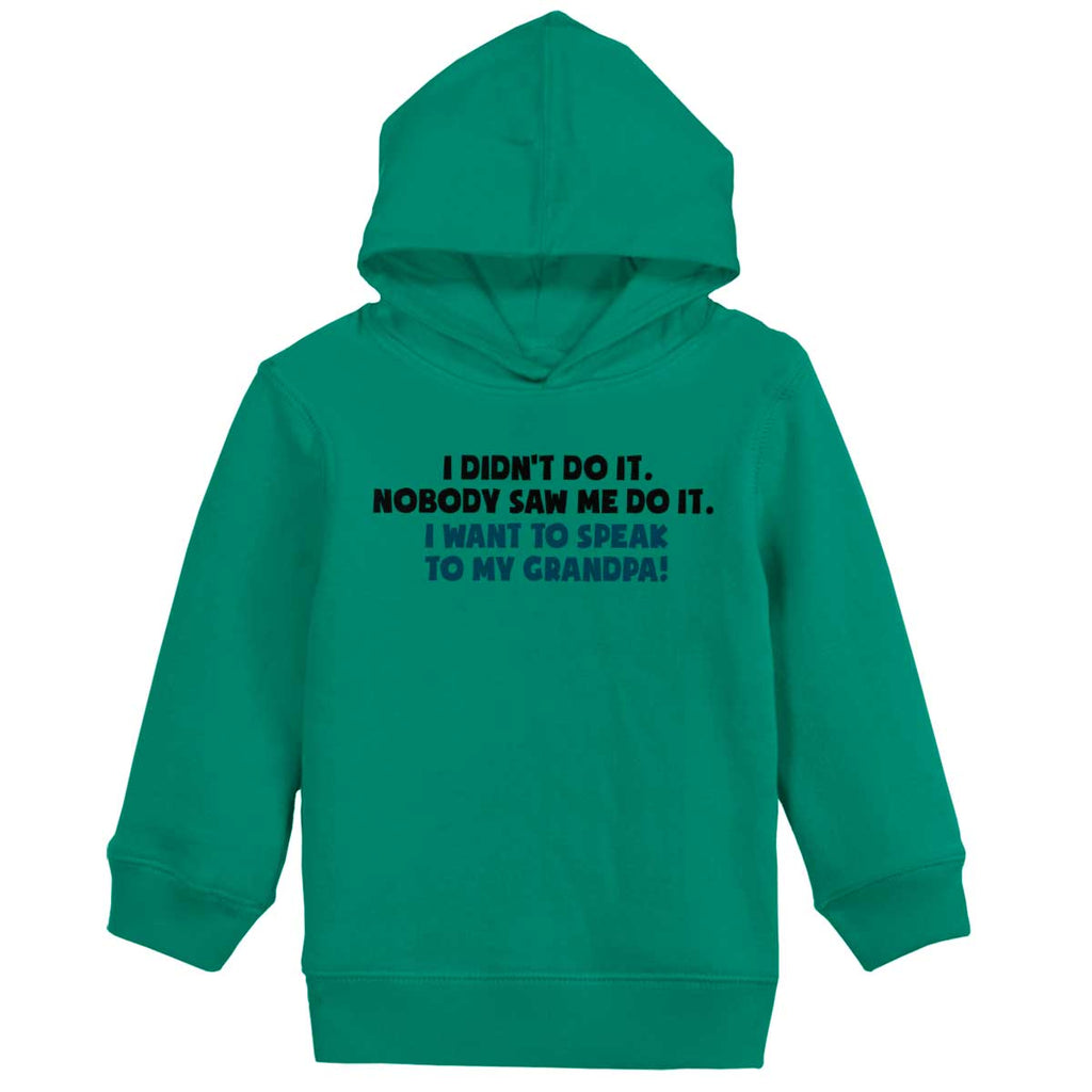 I Didn't Do It Toddler Pullover Hoodie-Direct To Garment Print-Brisco Baby