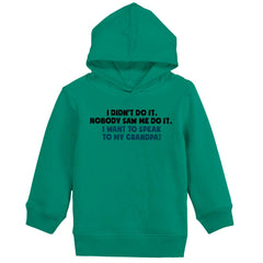I Didn't Do It Toddler Pullover Hoodie-Direct To Garment Print-Brisco Baby