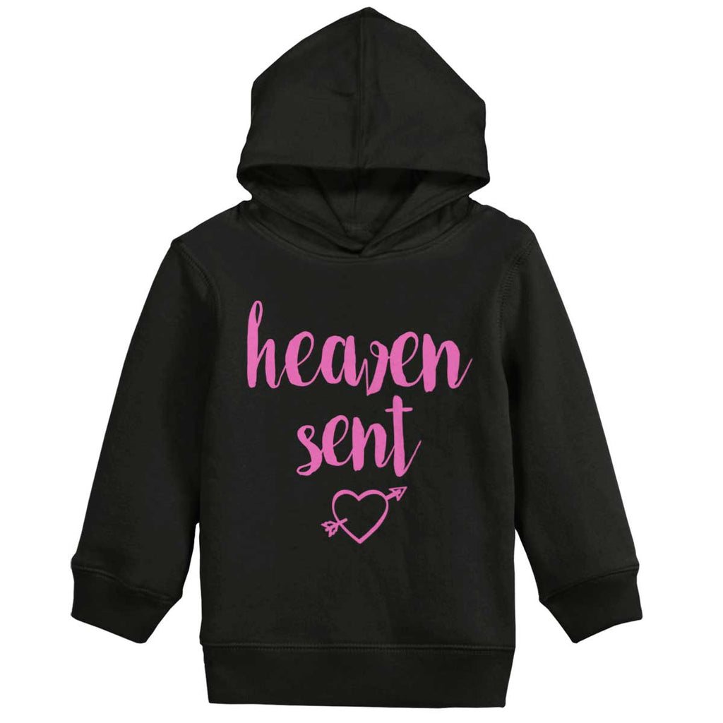 Heaven Sent Toddler Pullover Hoodie-Direct To Garment Print-Brisco Baby