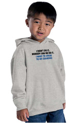 I Didn't Do It Toddler Pullover Hoodie-Direct To Garment Print-Brisco Baby