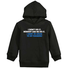 I Didn't Do It Toddler Pullover Hoodie-Direct To Garment Print-Brisco Baby