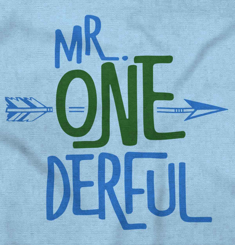 Mr. Onederful Infant Baby Bib-Direct To Garment Print-Brisco Baby