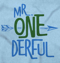 Mr. Onederful Infant Baby Bib-Direct To Garment Print-Brisco Baby