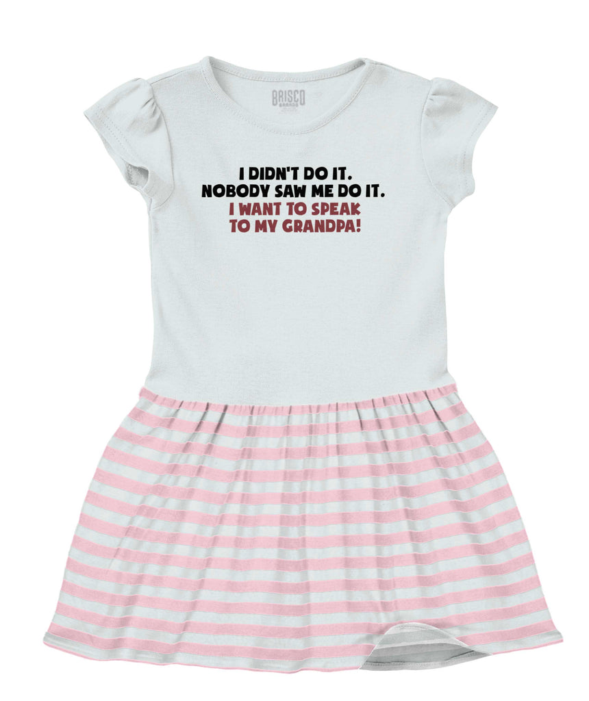 I Didn't Do It Baby Striped Skirt Dress-Direct To Garment Print-Brisco Baby