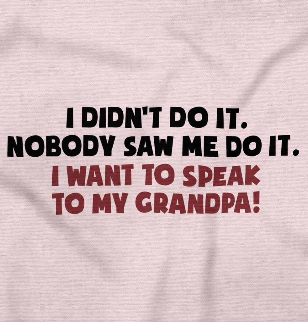 I Didn't Do It Toddler Ruffled Trim T-Shirt-Direct To Garment Print-Brisco Baby