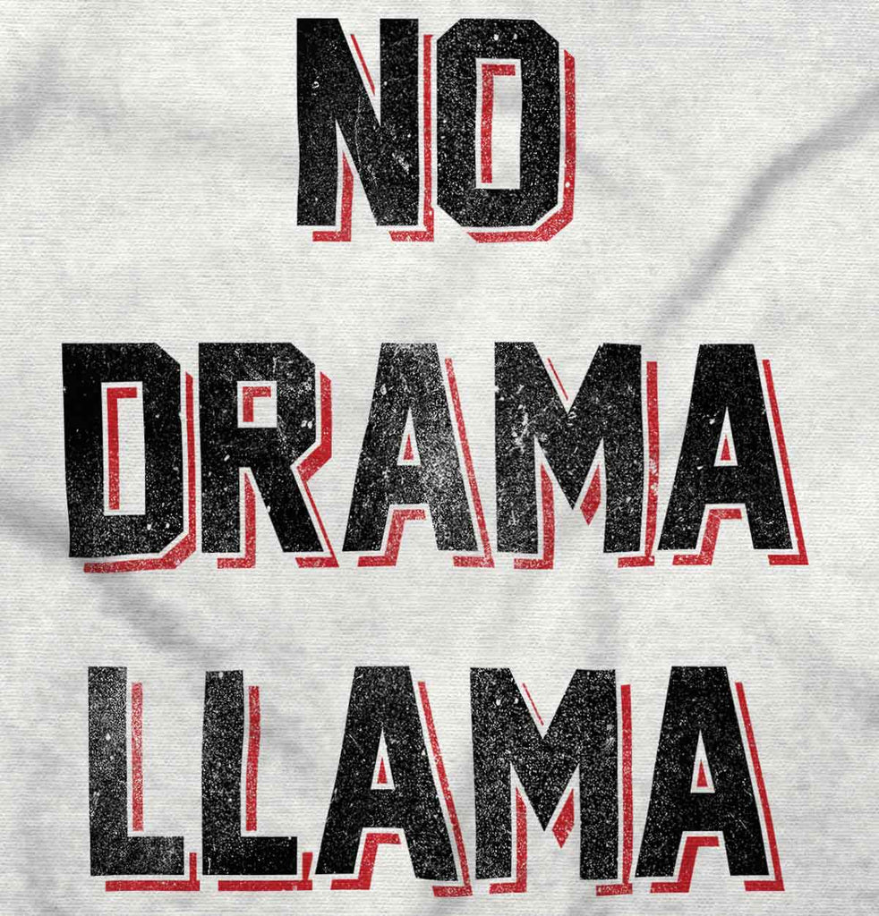 No Drama Infant Baby Bib-Direct To Garment Print-Brisco Baby