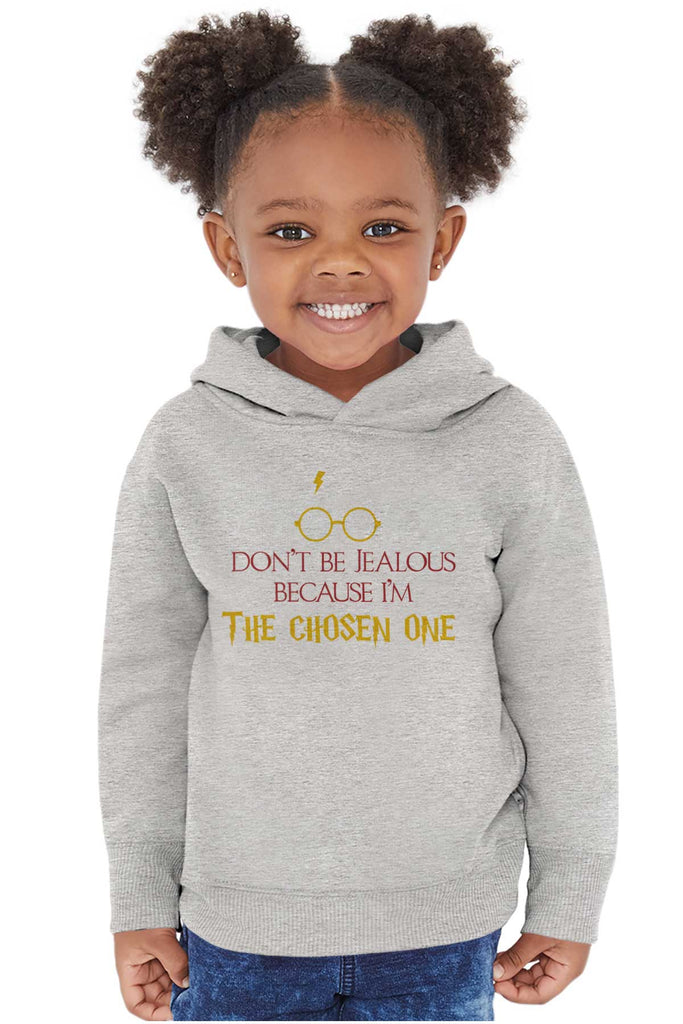 Jealous Of Chosen One Toddler Pullover Hoodie-Direct To Garment Print-Brisco Baby