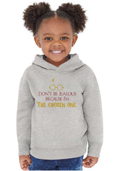 Jealous Of Chosen One Toddler Pullover Hoodie-Direct To Garment Print-Brisco Baby