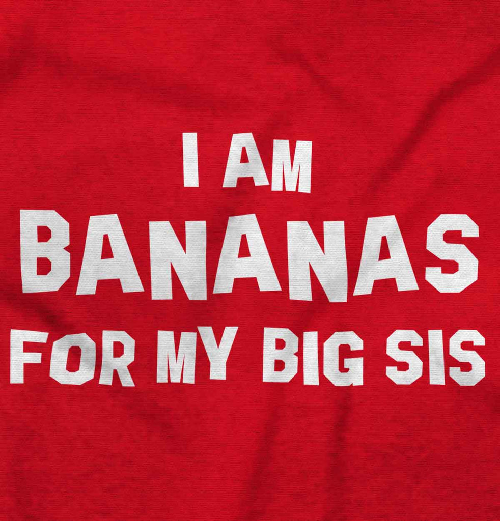Bananas For Big Sis Romper Bodysuit-Direct To Garment Print-Brisco Baby
