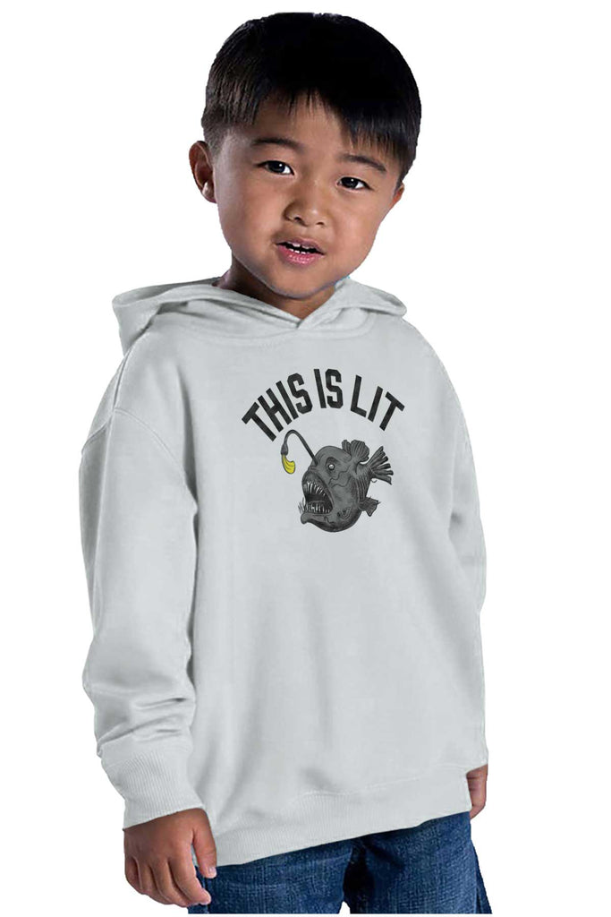 This Is Lit Pullover Hoodie-Direct To Garment Print-Brisco Baby