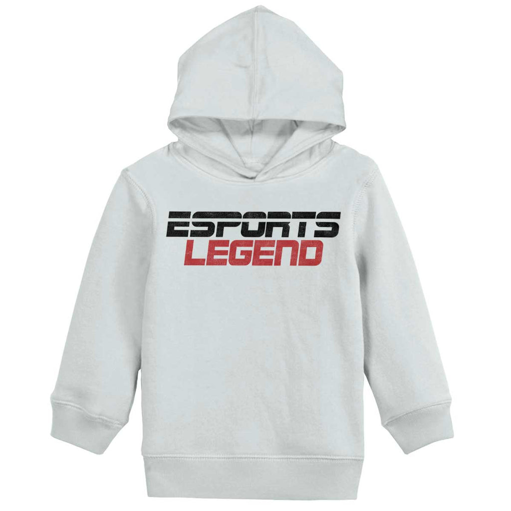 Sports Legend Professional Gamer Toddler Pullover Hoodie-Direct To Garment Print-Brisco Baby