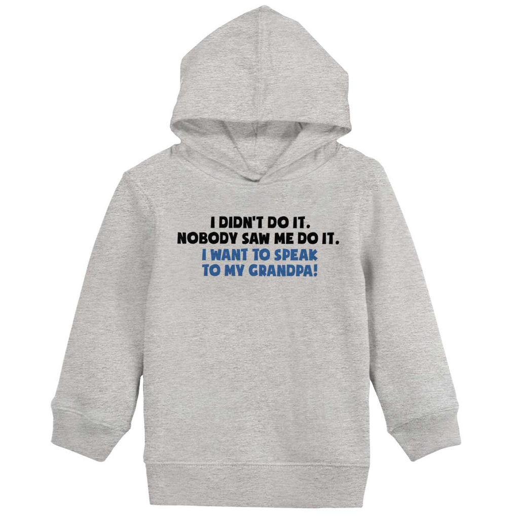 I Didn't Do It Toddler Pullover Hoodie-Direct To Garment Print-Brisco Baby
