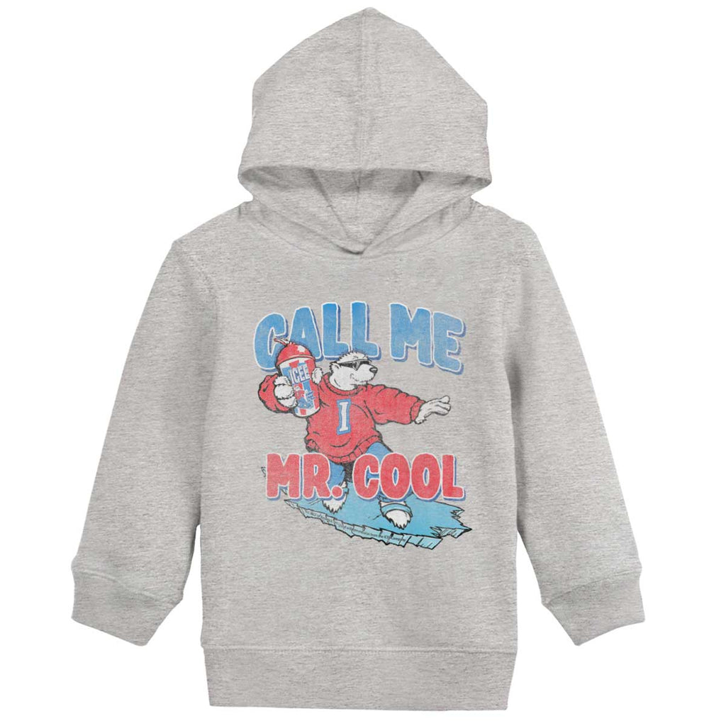 Call Me Mr. Cool Toddler Pullover Hoodie-Direct To Garment Print-Brisco Baby
