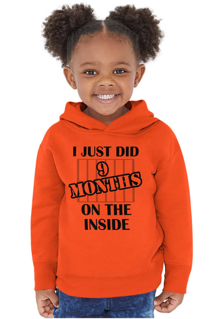9 Months On The Inside Toddler Pullover Hoodie-Direct To Garment Print-Brisco Baby