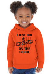 9 Months On The Inside Toddler Pullover Hoodie-Direct To Garment Print-Brisco Baby