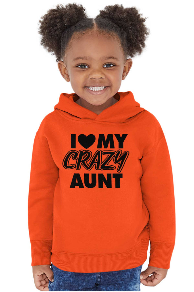 Crazy Aunt Toddler Pullover Hoodie-Direct To Garment Print-Brisco Baby