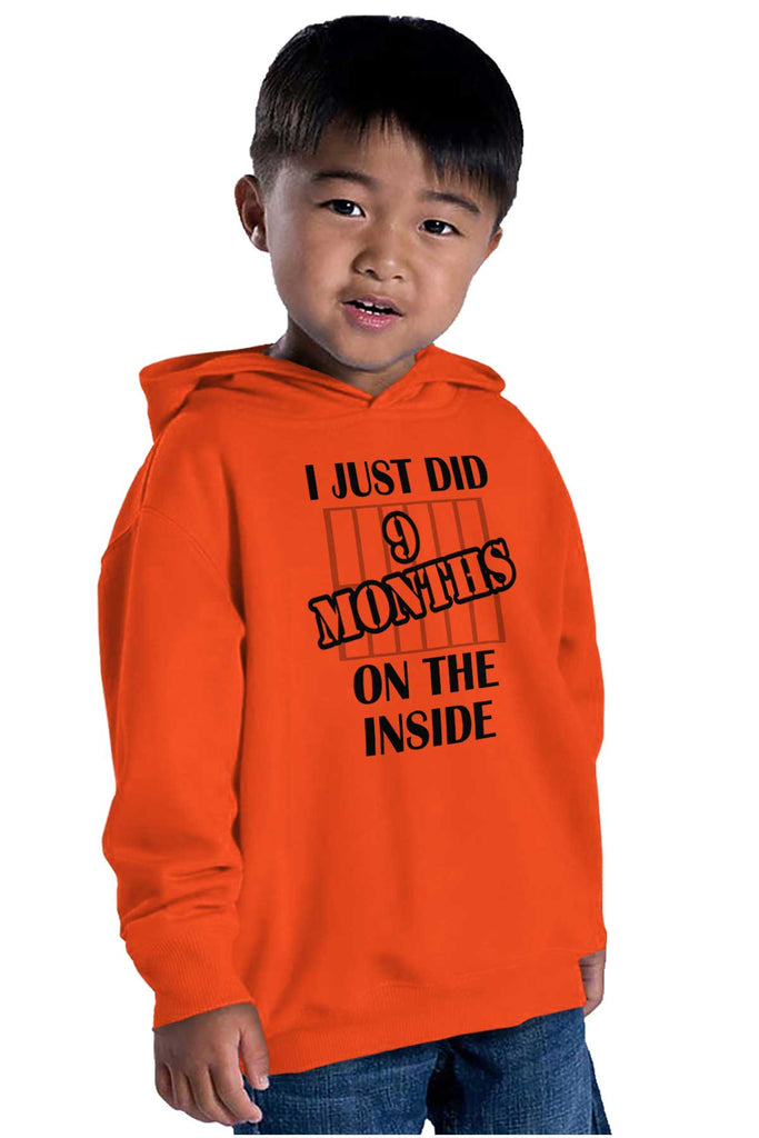9 Months On The Inside Toddler Pullover Hoodie-Direct To Garment Print-Brisco Baby