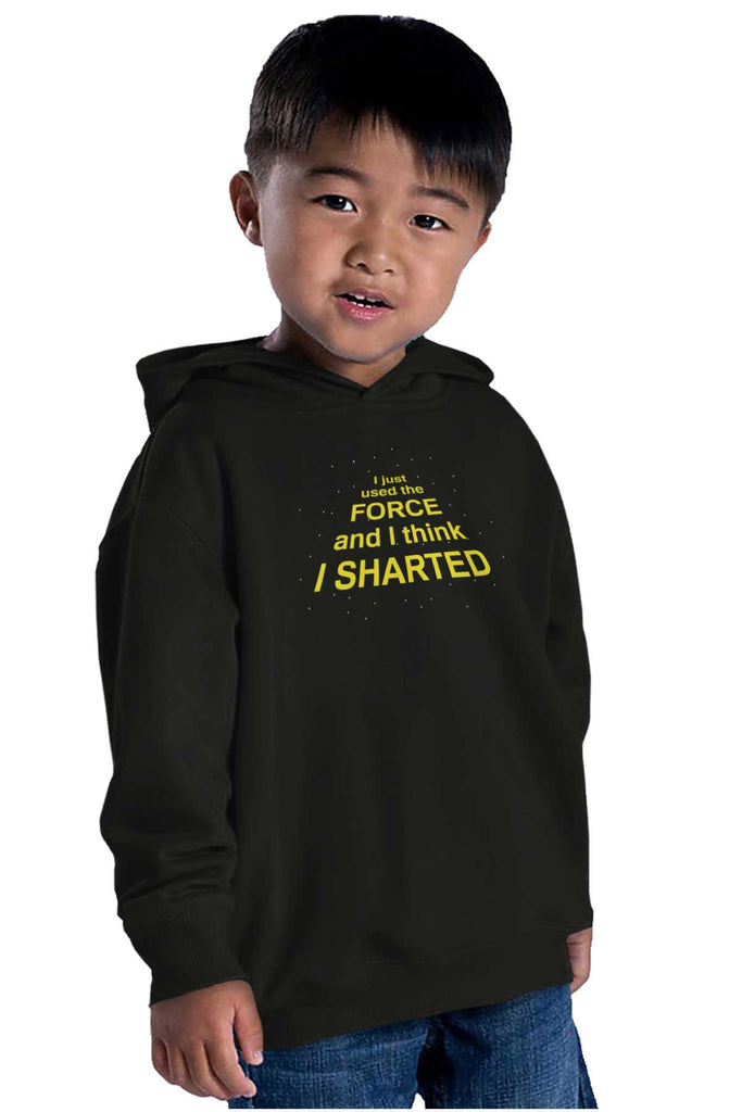 Used The Force Toddler Pullover Hoodie-Direct To Garment Print-Brisco Baby