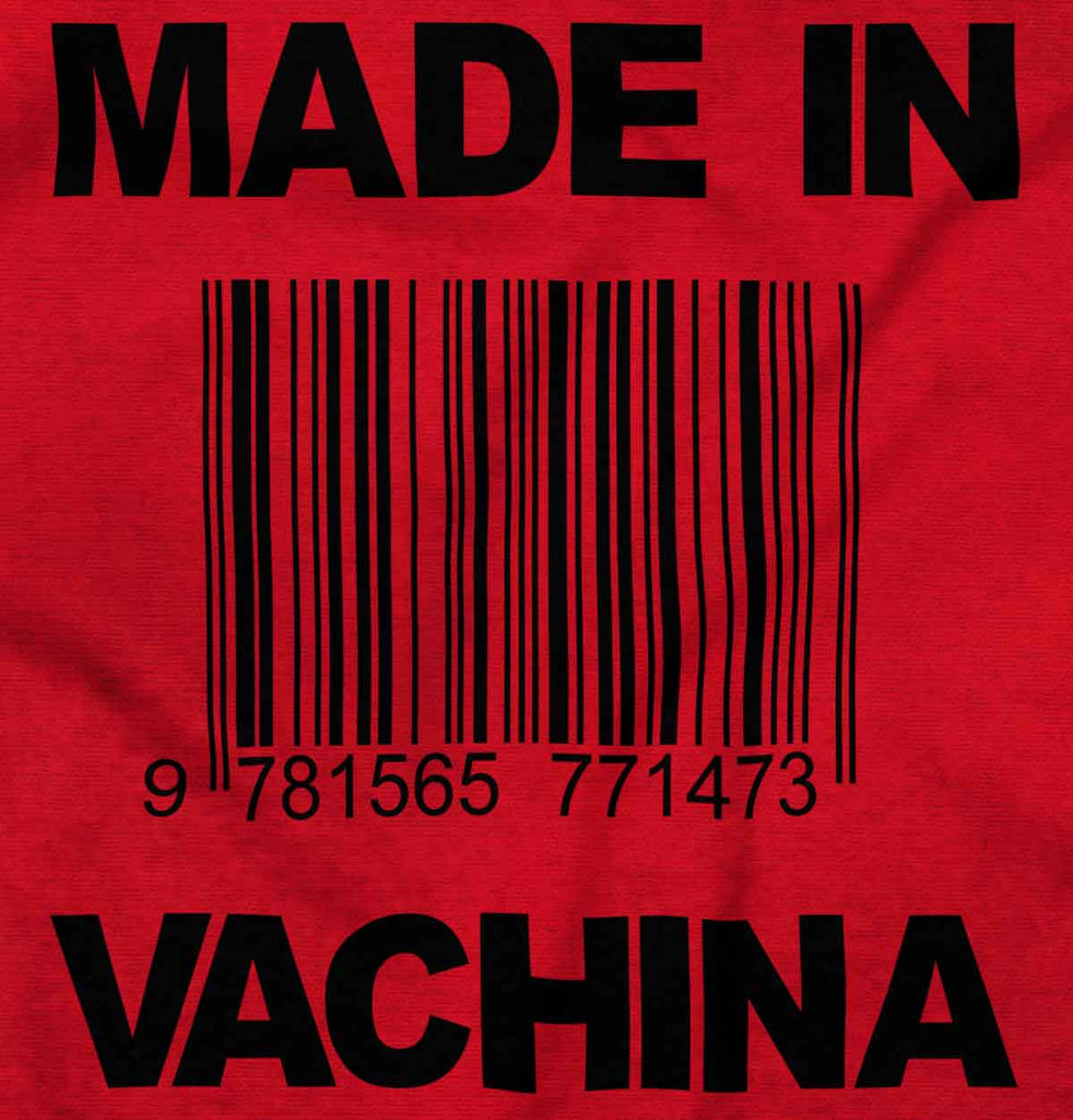 Made In Vachina Toddler Pullover Hoodie-Direct To Garment Print-Brisco Baby