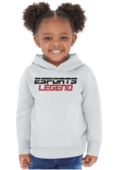 Sports Legend Professional Gamer Toddler Pullover Hoodie-Direct To Garment Print-Brisco Baby
