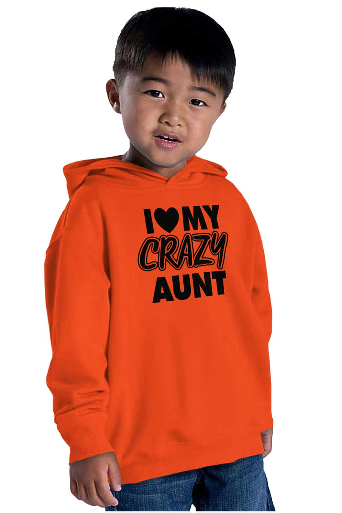 Crazy Aunt Toddler Pullover Hoodie-Direct To Garment Print-Brisco Baby
