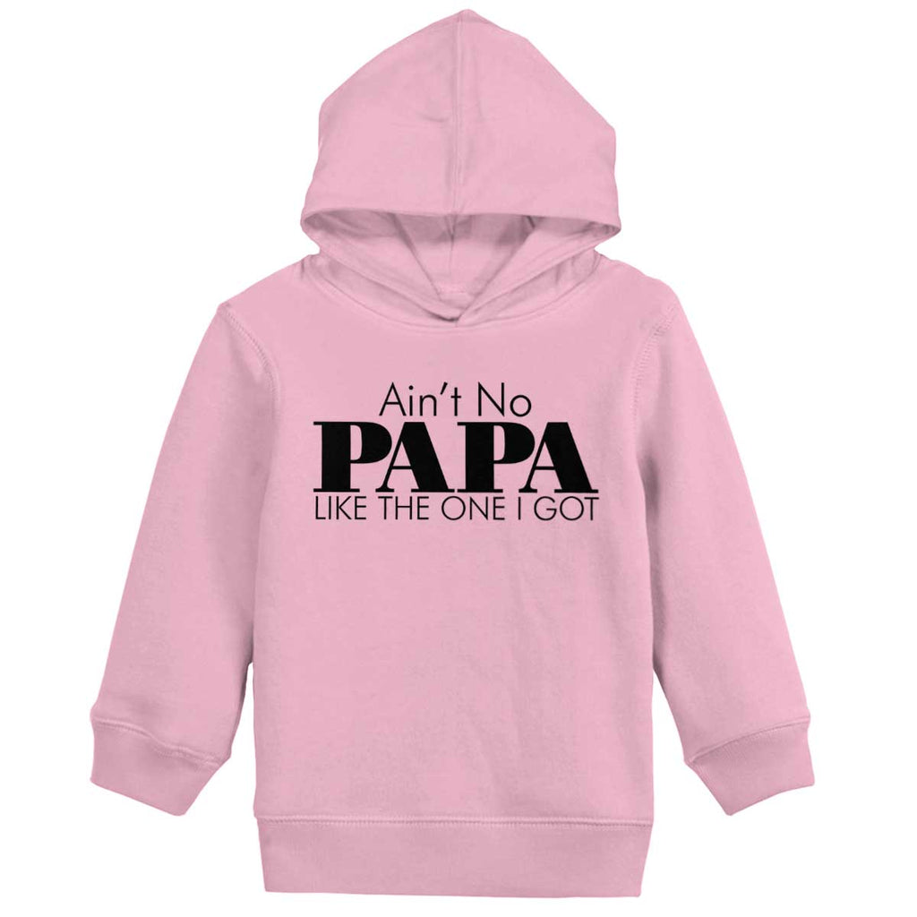 No Papa Like Me Toddler Pullover Hoodie-Direct To Garment Print-Brisco Baby