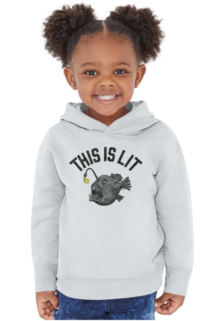 This Is Lit Pullover Hoodie-Direct To Garment Print-Brisco Baby