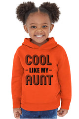 Aunt is Single Toddler Pullover Hoodie-Direct To Garment Print-Brisco Baby