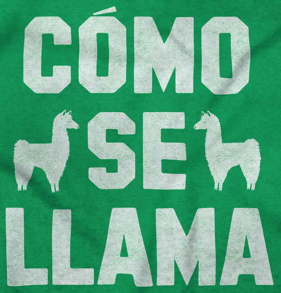 Como Se Llama Romper Bodysuit-Direct To Garment Print-Brisco Baby