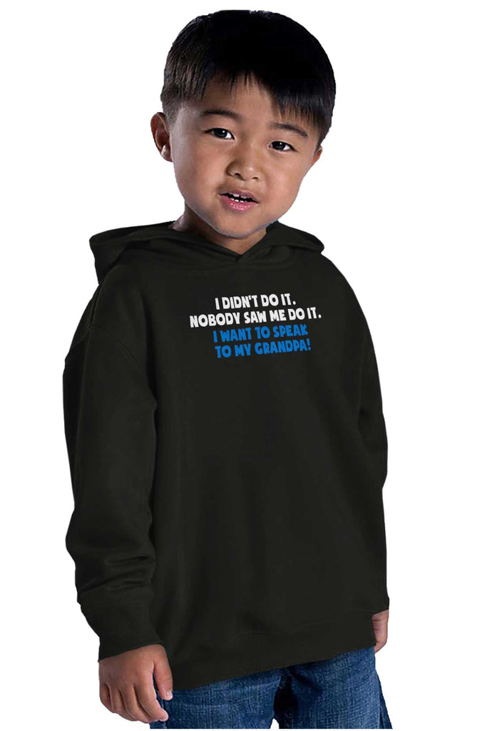 I Didn't Do It Toddler Pullover Hoodie-Direct To Garment Print-Brisco Baby