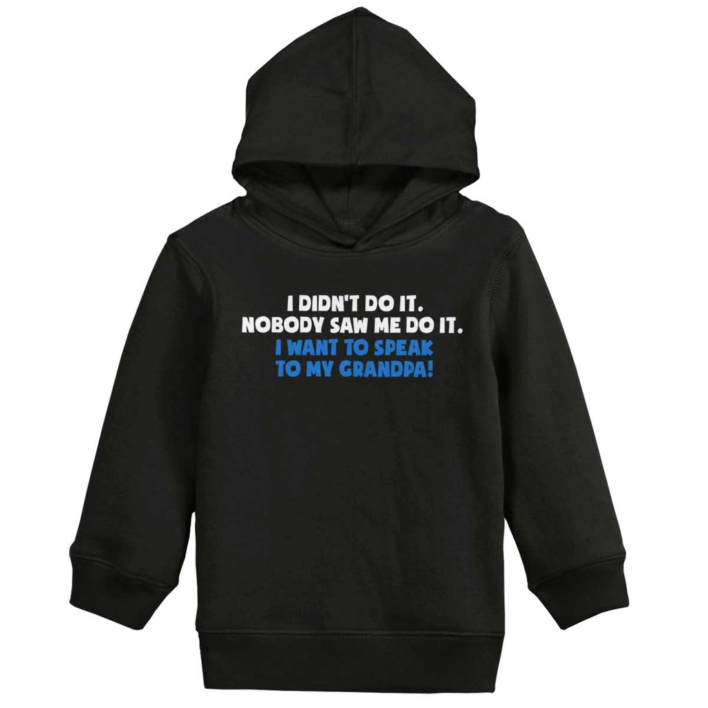 I Didn't Do It Toddler Pullover Hoodie-Direct To Garment Print-Brisco Baby