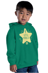 Little Miracle Toddler Pullover Hoodie-Direct To Garment Print-Brisco Baby